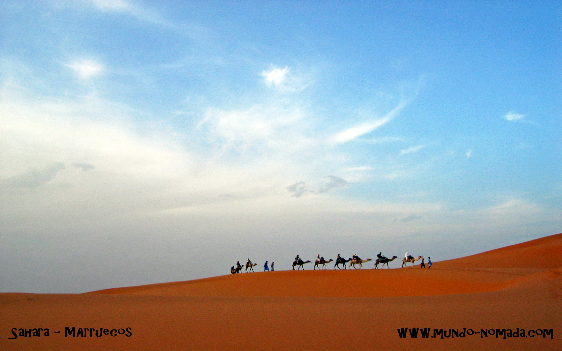 Las dunas del Sahara, Marruecos (Fondo de Pantalla)